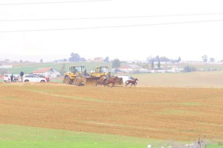 النقب : تجريف محاصيل زراعية بين تل السبع وأم بطين